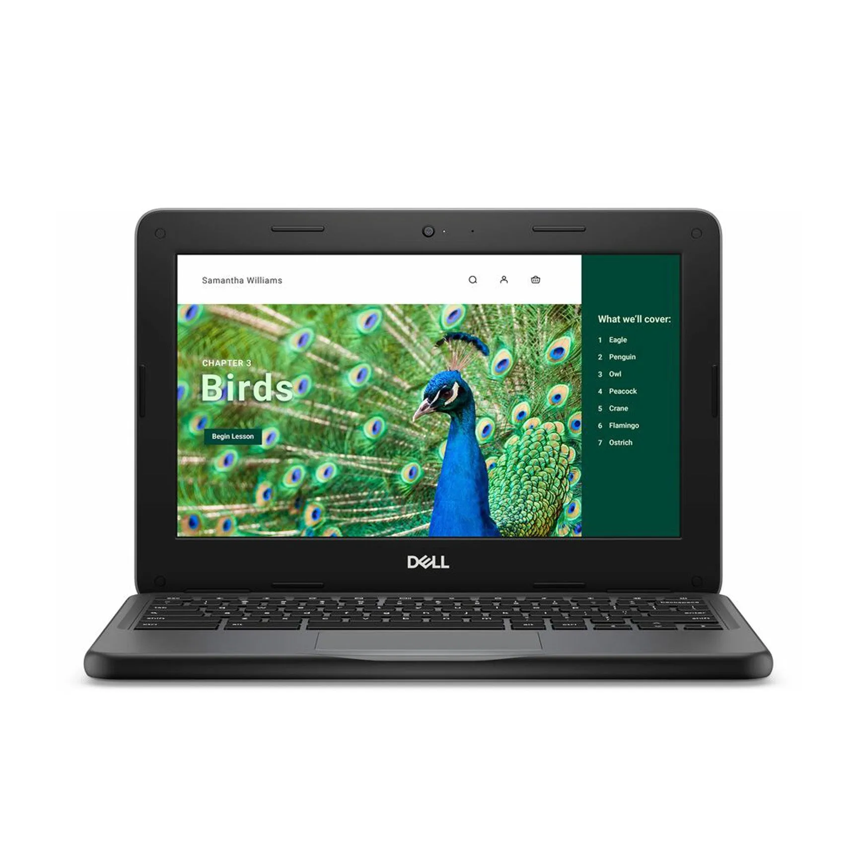 Dell 3120 11" Chromebook